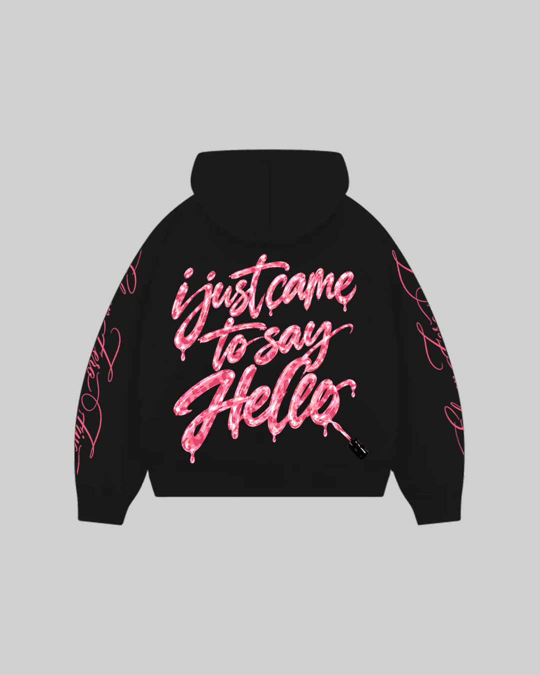 "I JUST CAME TO SAY HELLO" Hoodie